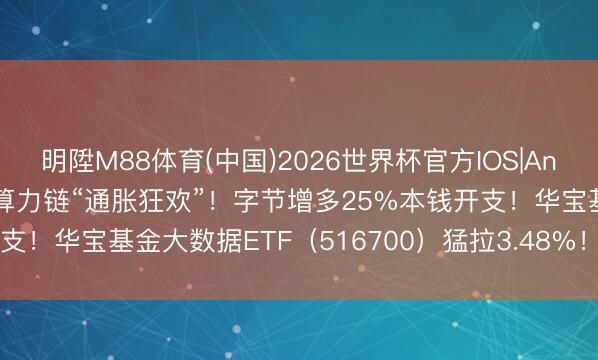 明陞M88体育(中国)2026世界杯官方IOS|Android手机app下载 AI算力链“通胀狂欢”！字节增多25%本钱开支！华宝基金大数据ETF（516700）猛拉3.48%！此前2日不绝吸金！