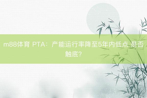 m88体育 PTA：产能运行率降至5年内低点 是否触底？