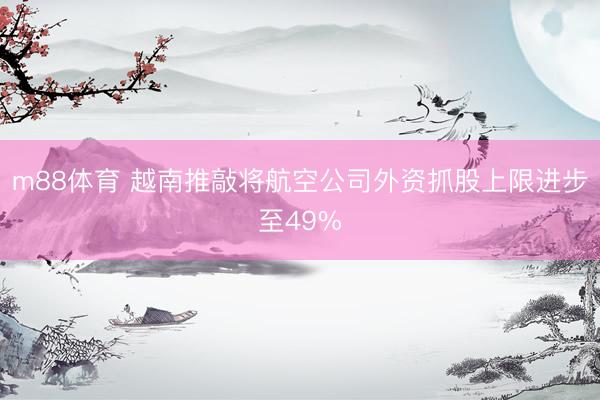 m88体育 越南推敲将航空公司外资抓股上限进步至49%