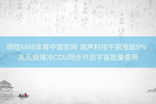 明陞M88体育中国官网 瑞声科技午前涨超9% 兆瓦级液冷CDU同步开启宇宙批量委用