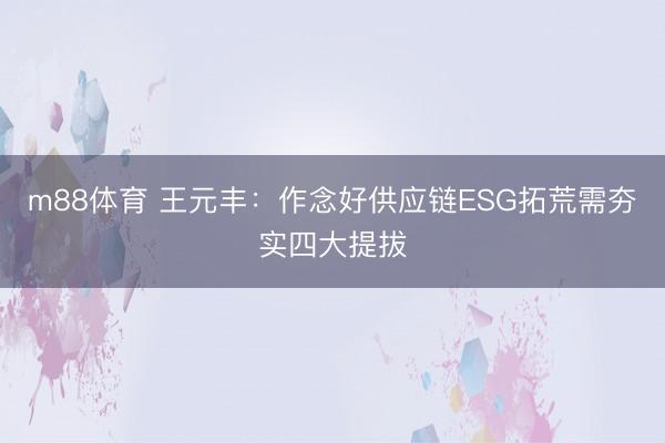 m88体育 王元丰：作念好供应链ESG拓荒需夯实四大提拔