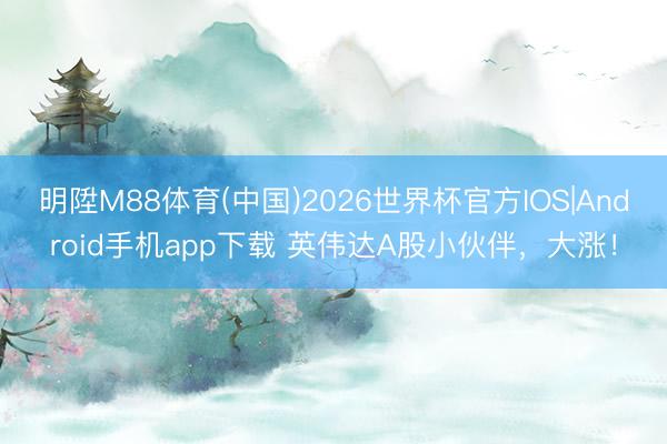 明陞M88体育(中国)2026世界杯官方IOS|Android手机app下载 英伟达A股小伙伴，大涨！