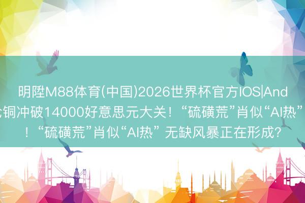 明陞M88体育(中国)2026世界杯官方IOS|Android手机app下载 伦铜冲破14000好意思元大关！“硫磺荒”肖似“AI热” 无缺风暴正在形成？