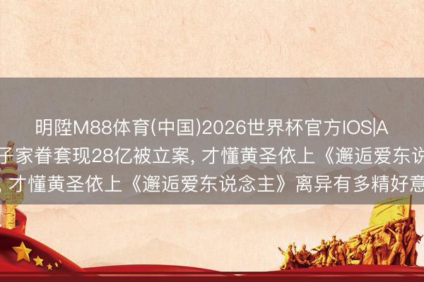 明陞M88体育(中国)2026世界杯官方IOS|Android手机app下载 杨子家眷套现28亿被立案， 才懂黄圣依上《邂逅爱东说念主》离异有多精好意思
