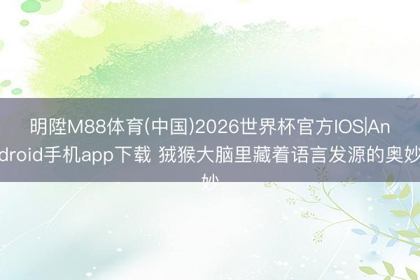 明陞M88体育(中国)2026世界杯官方IOS|Android手机app下载 狨猴大脑里藏着语言发源的奥妙