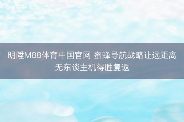 明陞M88体育中国官网 蜜蜂导航战略让远距离无东谈主机得胜复返