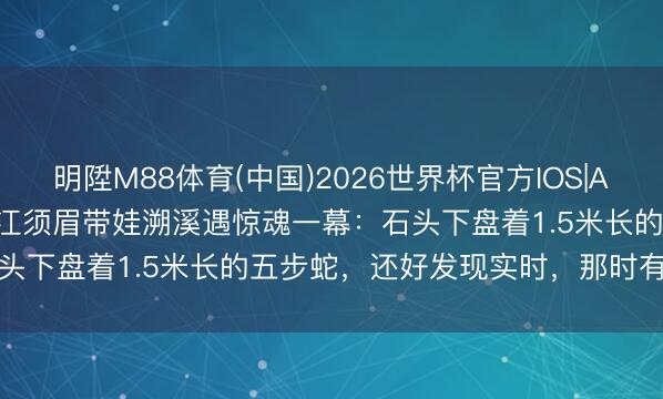 明陞M88体育(中国)2026世界杯官方IOS|Android手机app下载 浙江须眉带娃溯溪遇惊魂一幕：石头下盘着1.5米长的五步蛇，还好发现实时，那时有好多搭客