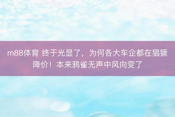 m88体育 终于光显了，为何各大车企都在猖獗降价！本来鸦雀无声中风向变了