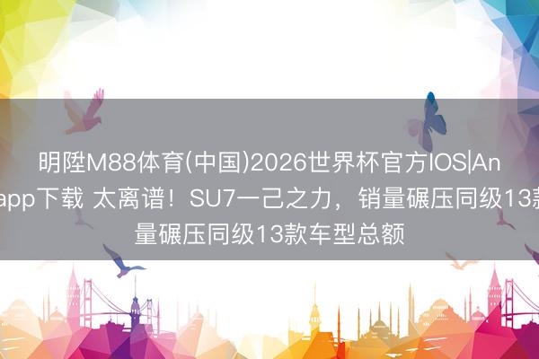 明陞M88体育(中国)2026世界杯官方IOS|Android手机app下载 太离谱！SU7一己之力，销量碾压同级13款车型总额