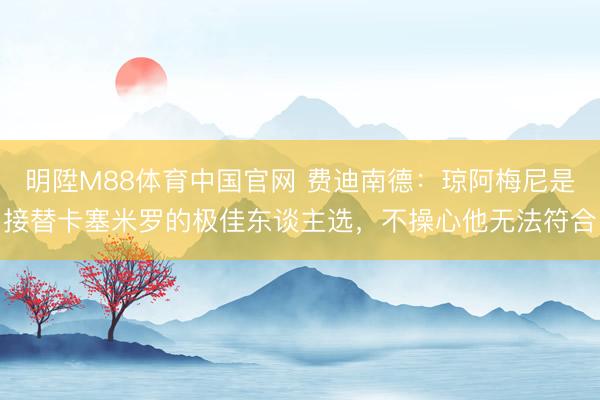 明陞M88体育中国官网 费迪南德：琼阿梅尼是接替卡塞米罗的极佳东谈主选，不操心他无法符合