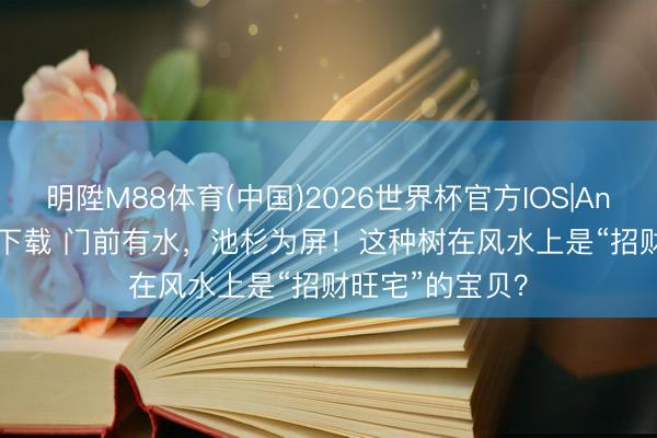 明陞M88体育(中国)2026世界杯官方IOS|Android手机app下载 门前有水，池杉为屏！这种树在风水上是“招财旺宅”的宝贝？