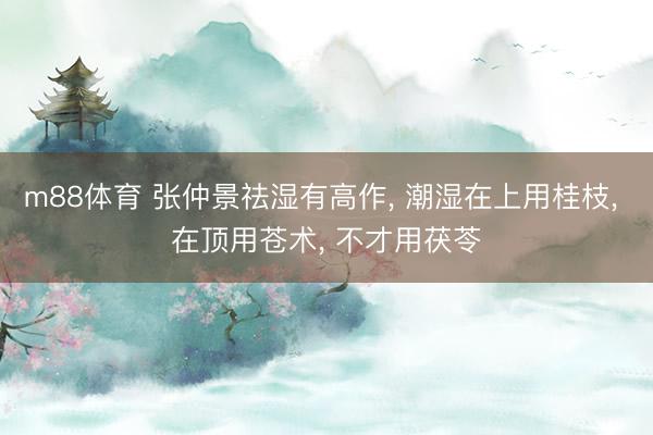 m88体育 张仲景祛湿有高作， 潮湿在上用桂枝， 在顶用苍术， 不才用茯苓