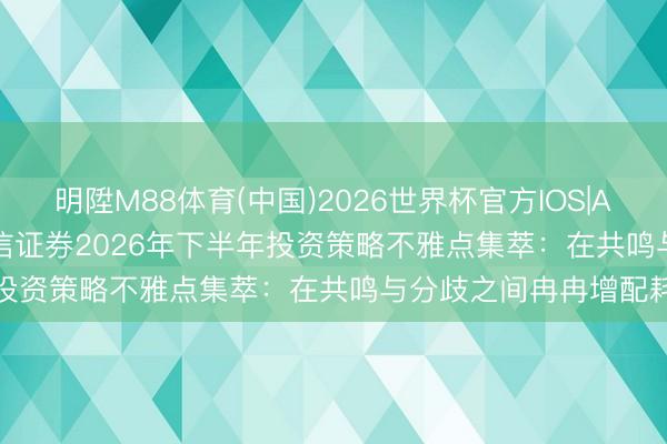 明陞M88体育(中国)2026世界杯官方IOS|Android手机app下载 中信证券2026年下半年投资策略不雅点集萃：在共鸣与分歧之间冉冉增配耗尽