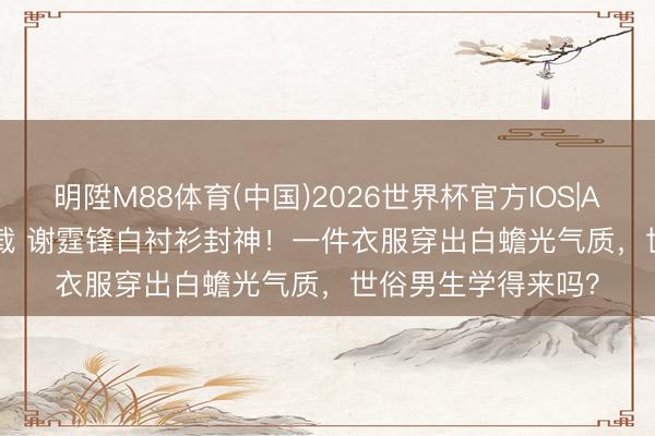 明陞M88体育(中国)2026世界杯官方IOS|Android手机app下载 谢霆锋白衬衫封神！一件衣服穿出白蟾光气质，世俗男生学得来吗？