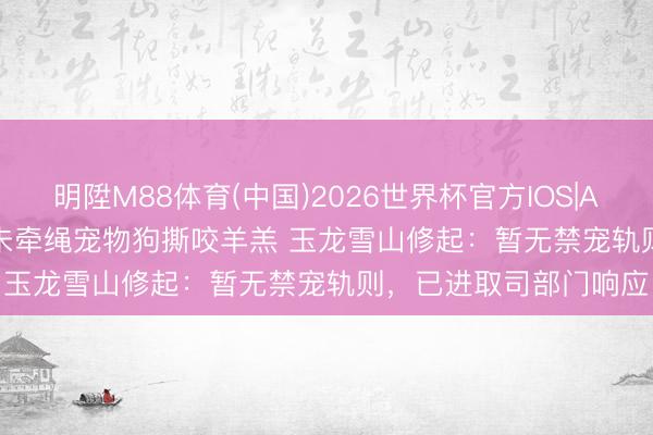明陞M88体育(中国)2026世界杯官方IOS|Android手机app下载 未牵绳宠物狗撕咬羊羔 玉龙雪山修起：暂无禁宠轨则，已进取司部门响应